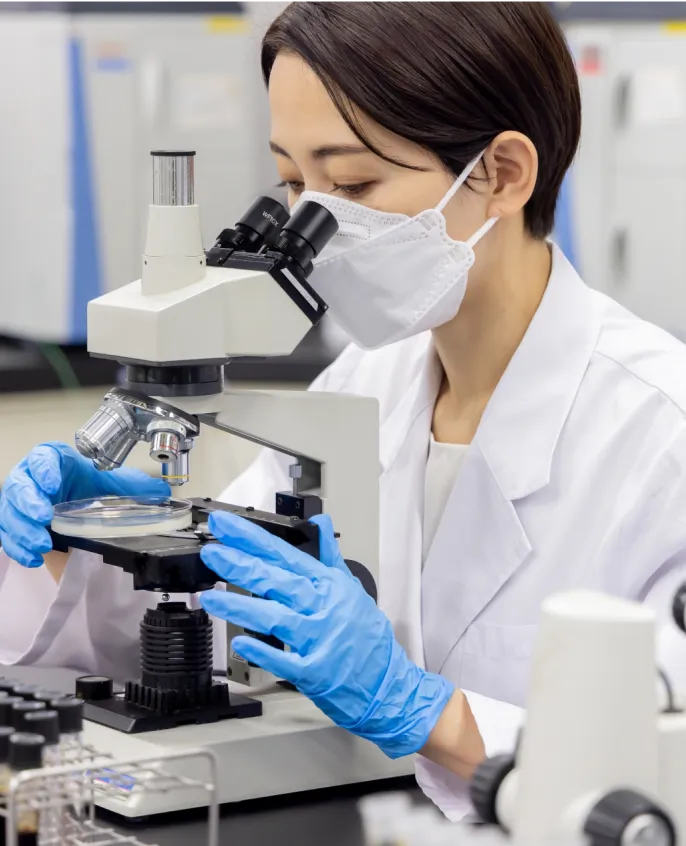 顕微鏡を用いた検査の様子
