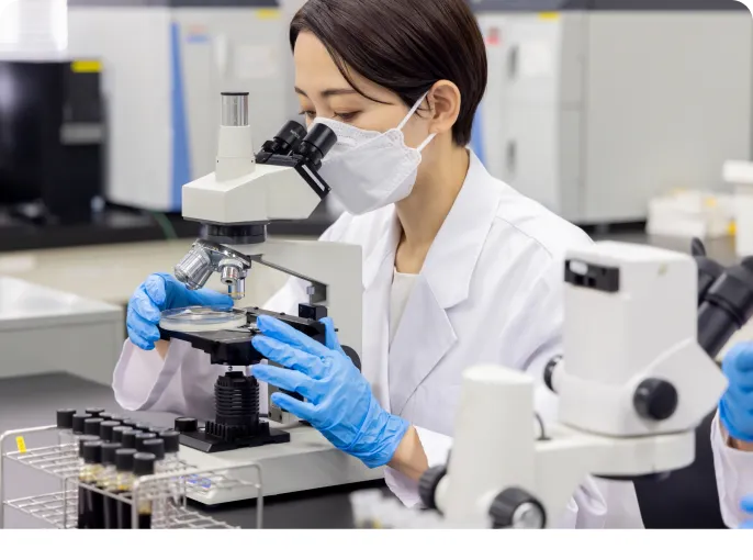 顕微鏡を用いた検査の様子